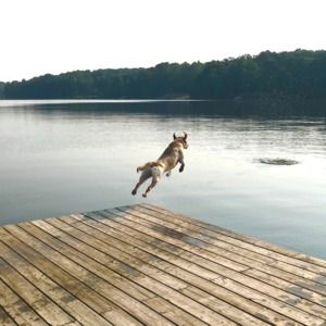 Meet your Posher, Catherine